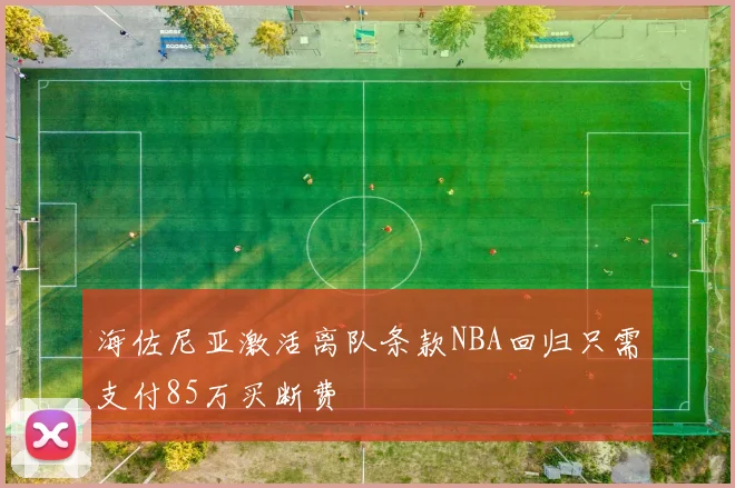 海佐尼亚激活离队条款NBA回归只需支付85万买断费